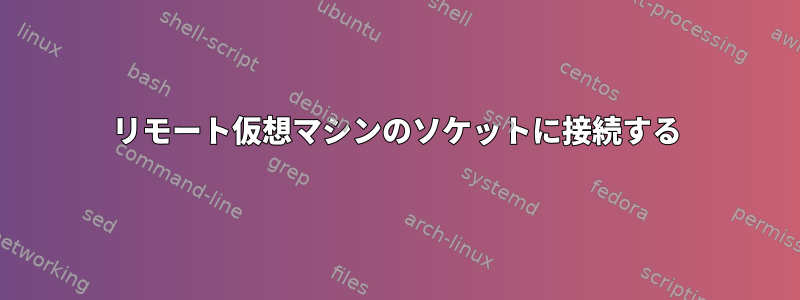 リモート仮想マシンのソケットに接続する