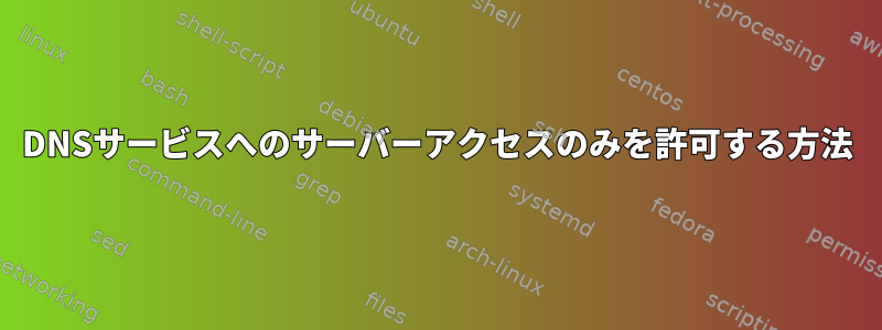 DNSサービスへのサーバーアクセスのみを許可する方法