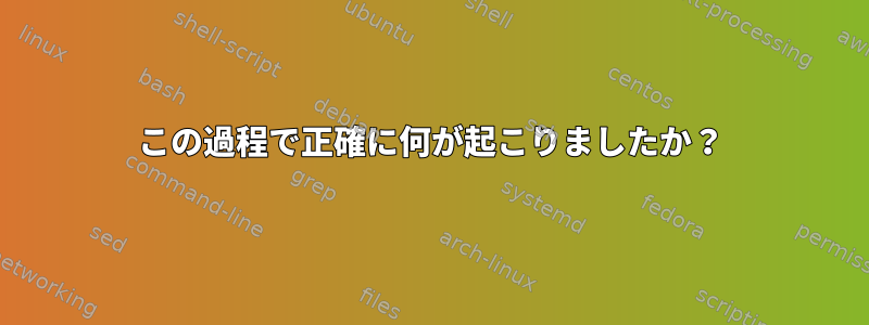 この過程で正確に何が起こりましたか？