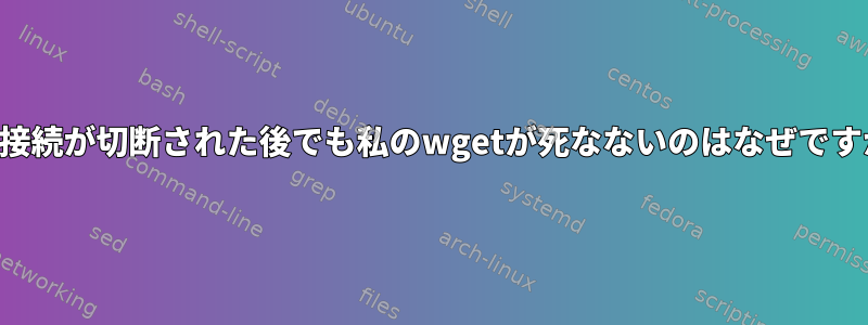 SSH接続が切断された後でも私のwgetが死なないのはなぜですか？