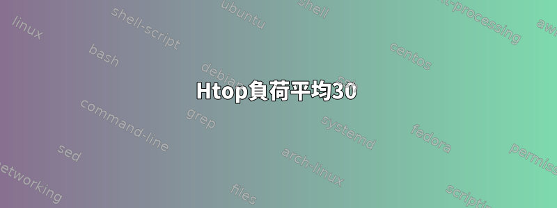 Htop負荷平均30