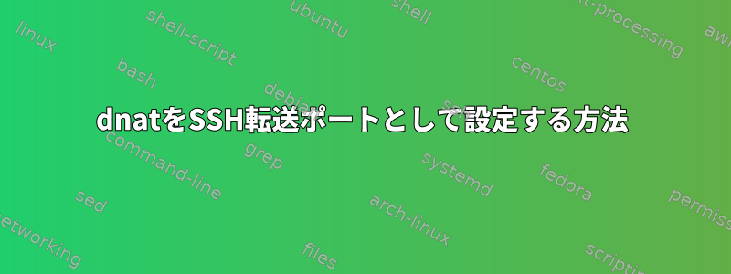 dnatをSSH転送ポートとして設定する方法