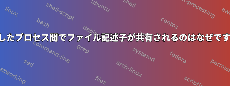 分岐したプロセス間でファイル記述子が共有されるのはなぜですか？