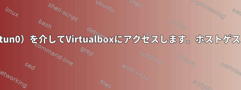 VPN（tun0）を介してVirtualboxにアクセスします。ホストゲストのみ