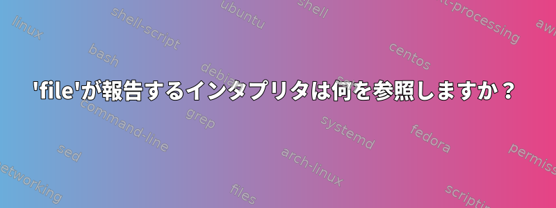 'file'が報告するインタプリタは何を参照しますか？