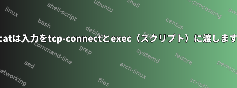 socatは入力をtcp-connectとexec（スクリプト）に渡します。