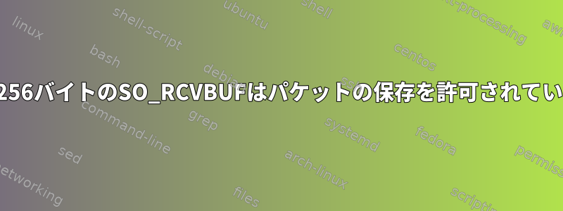 少なくとも256バイトのSO_RCVBUFはパケットの保存を許可されていませんか？