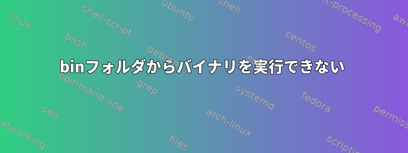 binフォルダからバイナリを実行できない