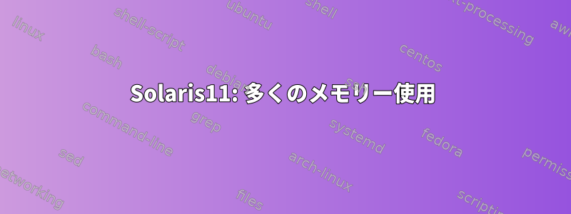 Solaris11: 多くのメモリー使用