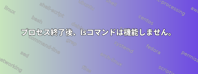 プロセス終了後、lsコマンドは機能しません。