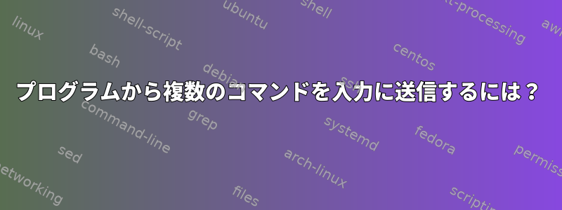 プログラムから複数のコマンドを入力に送信するには？