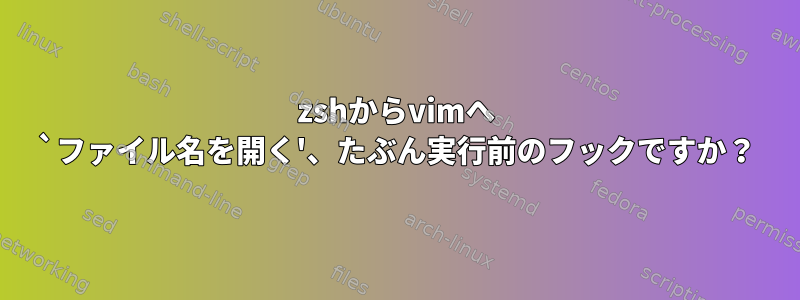 zshからvimへ `ファイル名を開く'、たぶん実行前のフックですか？