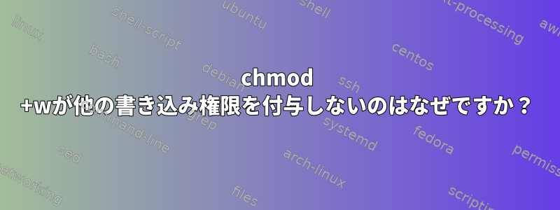 chmod +wが他の書き込み権限を付与しないのはなぜですか？