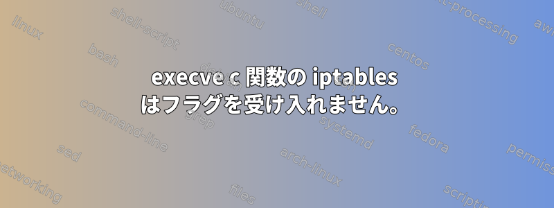 execve c 関数の iptables はフラグを受け入れません。