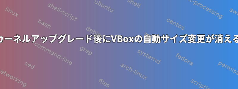 カーネルアップグレード後にVBoxの自動サイズ変更が消える