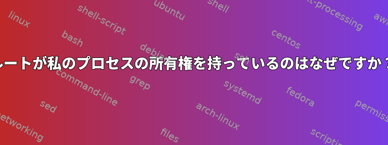 ルートが私のプロセスの所有権を持っているのはなぜですか？