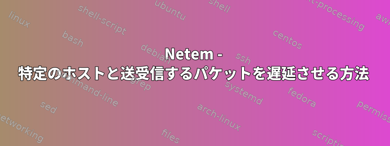 Netem - 特定のホストと送受信するパケットを遅延させる方法