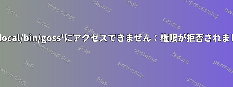 '/usr/local/bin/goss'にアクセスできません：権限が拒否されました。