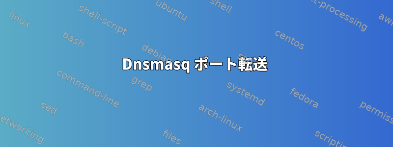 Dnsmasq ポート転送