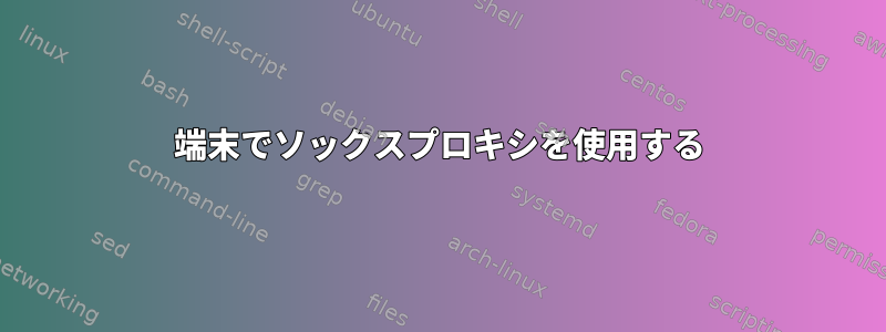 端末でソックスプロキシを使用する