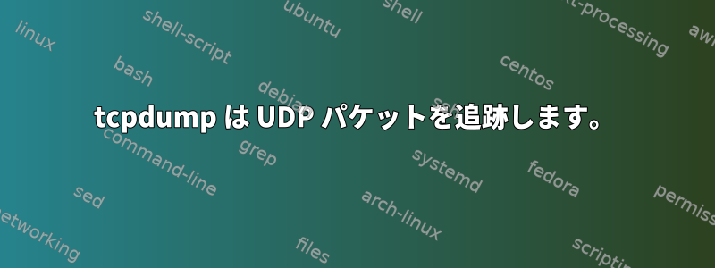 tcpdump は UDP パケットを追跡します。