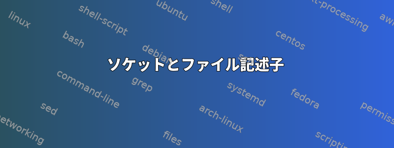 ソケットとファイル記述子