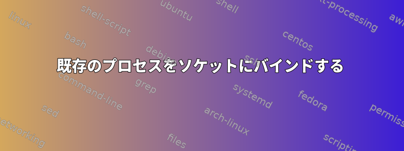 既存のプロセスをソケットにバインドする