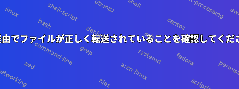 FTP経由でファイルが正しく転送されていることを確認してください。