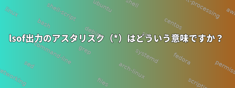 lsof出力のアスタリスク（*）はどういう意味ですか？