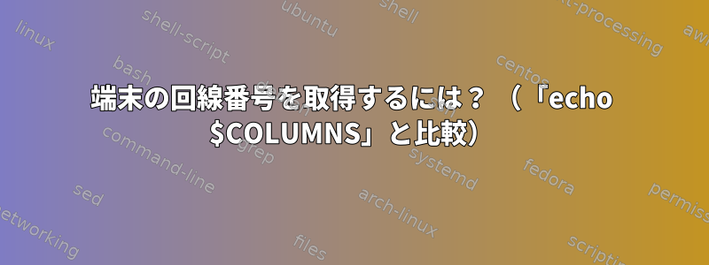 端末の回線番号を取得するには？ （「echo $COLUMNS」と比較）