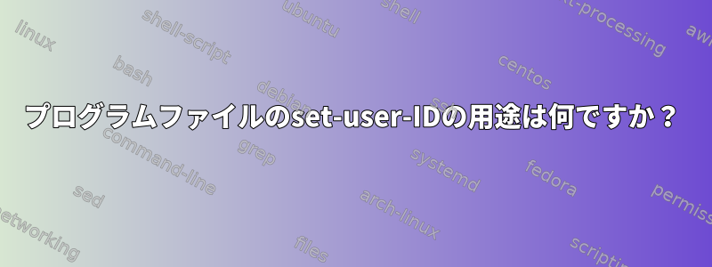 プログラムファイルのset-user-IDの用途は何ですか？