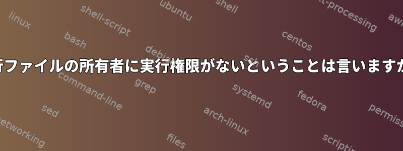 実行ファイルの所有者に実行権限がないということは言いますか？