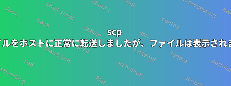 scp はファイルをホストに正常に転送しましたが、ファイルは表示されません。