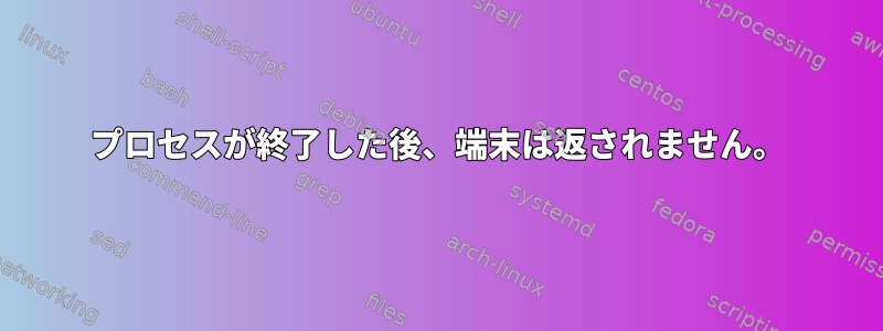 プロセスが終了した後、端末は返されません。