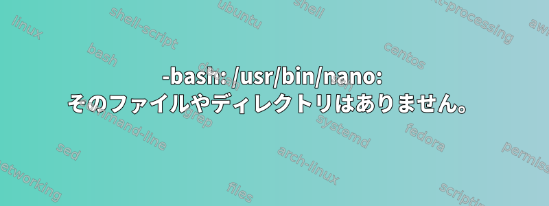 -bash: /usr/bin/nano: そのファイルやディレクトリはありません。