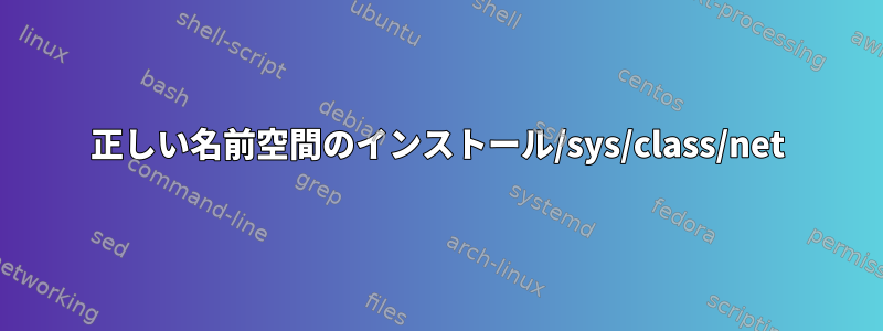 正しい名前空間のインストール/sys/class/net