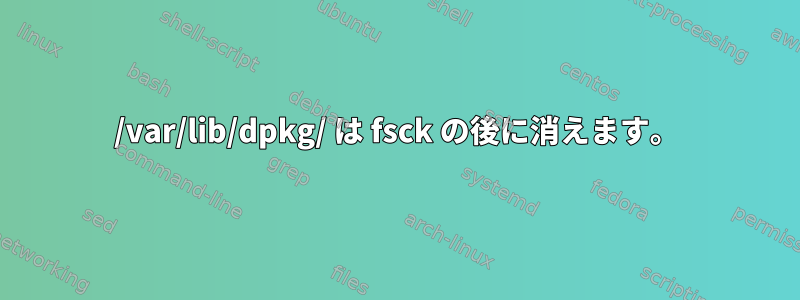 /var/lib/dpkg/ は fsck の後に消えます。