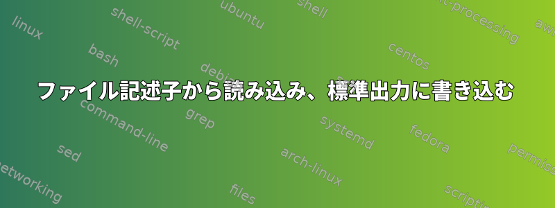 ファイル記述子から読み込み、標準出力に書き込む