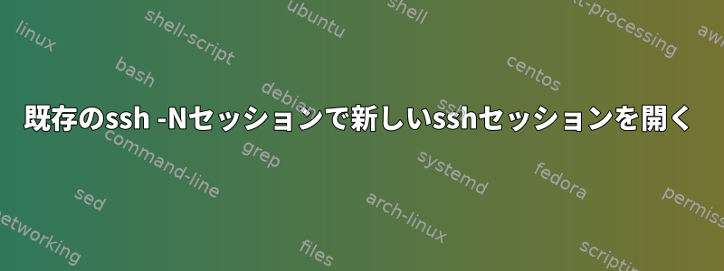 既存のssh -Nセッションで新しいsshセッションを開く