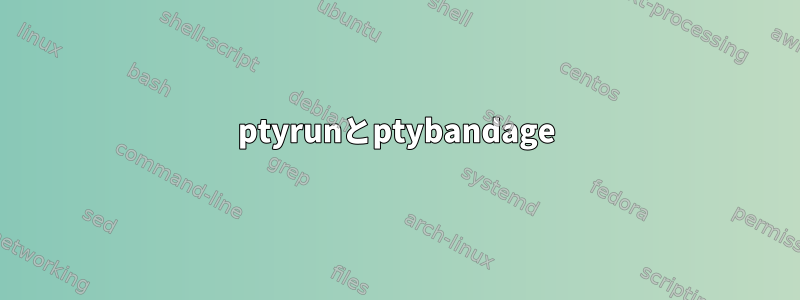 ptyrunとptybandage