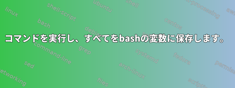 コマンドを実行し、すべてをbashの変数に保存します。