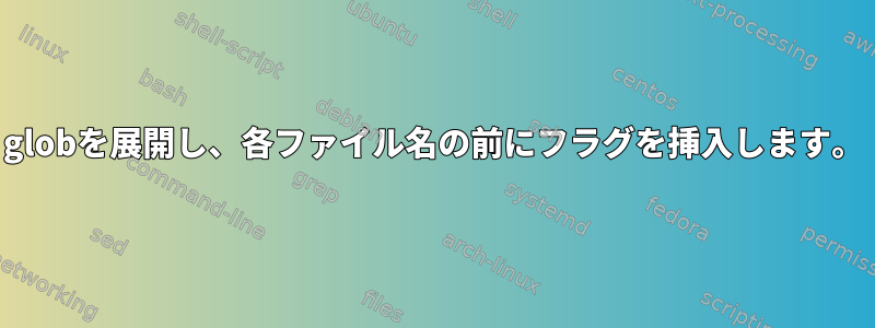 globを展開し、各ファイル名の前にフラグを挿入します。