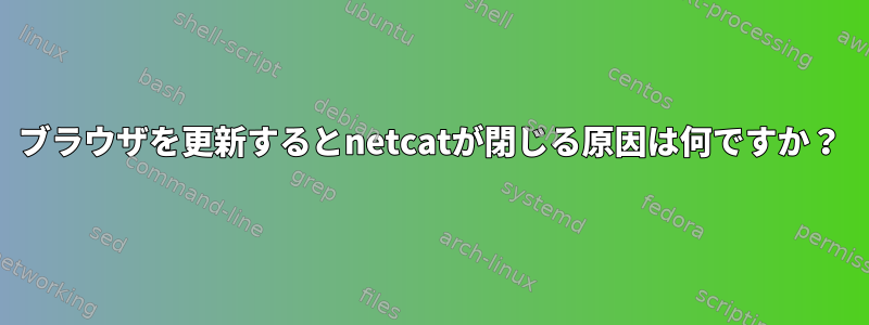 ブラウザを更新するとnetcatが閉じる原因は何ですか？