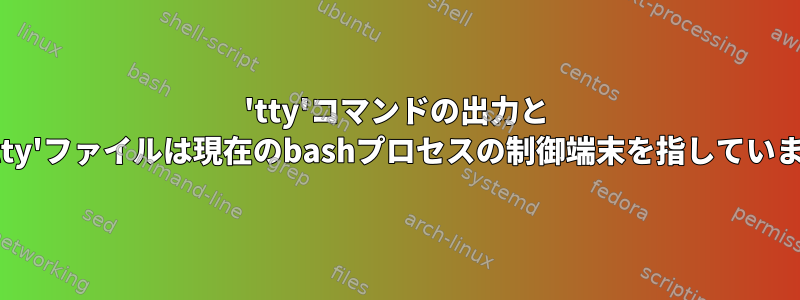 'tty'コマンドの出力と '/dev/tty'ファイルは現在のbashプロセスの制御端末を指していますか？