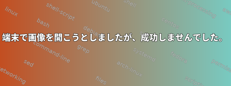 端末で画像を開こうとしましたが、成功しませんでした。