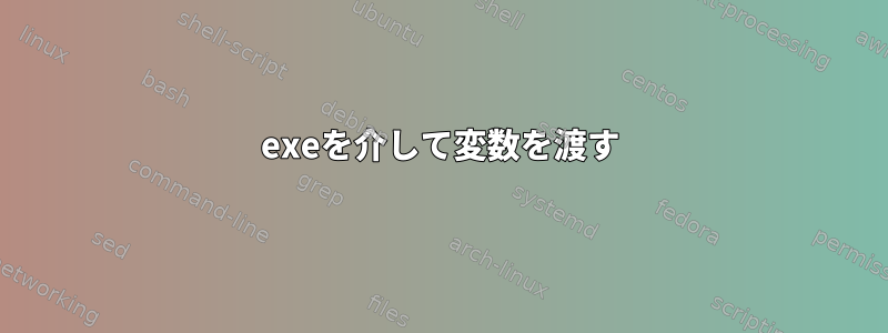 exeを介して変数を渡す