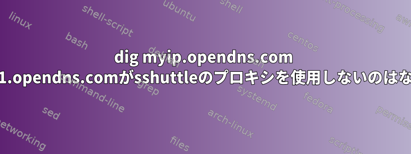 dig myip.opendns.com @resolver1.opendns.comがsshuttleのプロキシを使用しないのはなぜですか？