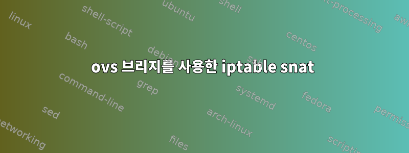 ovs 브리지를 사용한 iptable snat