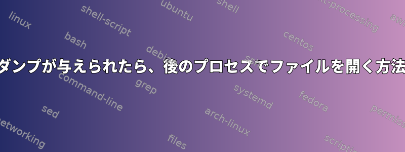 コアダンプが与えられたら、後のプロセスでファイルを開く方法は？