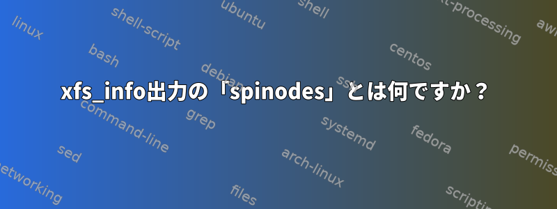 xfs_info出力の「spinodes」とは何ですか？